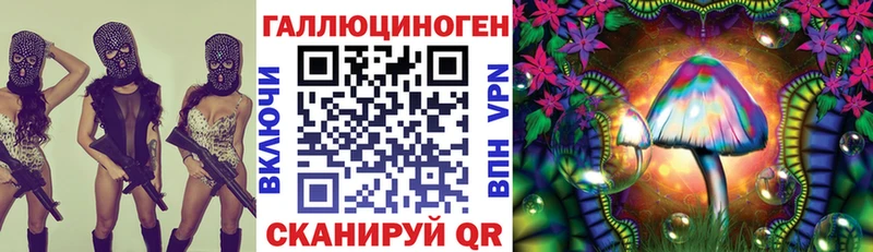 kraken зеркало  Фрязино  Псилоцибиновые грибы Cubensis  наркотики 